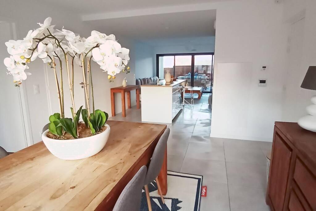 Апартаменти Loft Standing 100 M2 A 200 Metres De La Plage Лакано Екстер'єр фото